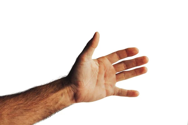 Tiro Cortado Mão Gestual Isolado Branco — Fotografia de Stock