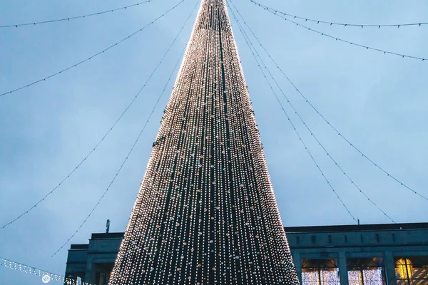Karácsonyfa Fények Esti Alatt — Stock Fotó