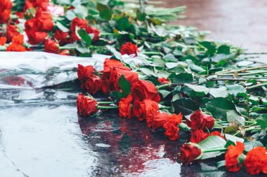 Kırmızı gül yalan üzerine siyah granit