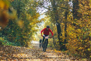 14 Ekim 2018, Minsk, Belarus.2018 Olimpik Kros Kupası XCO Medvezhino 'da Orman yolunda bisiklet süren bir adam