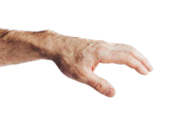 Используй жест руки, как символ того, чтобы взять что-то по-тихому . — стоковое фото