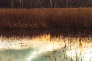 Sabahın erken saatlerinde göl sazlıklarla çevrilidir..