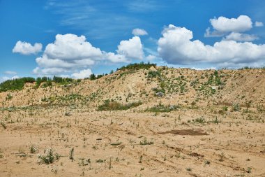 Bulutlu mavi gökyüzünün önündeki seyrek çimenli arazi