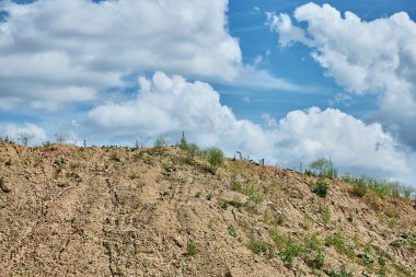 Mavi gökyüzü önünde seyrek çimenli vahşi topraklar.