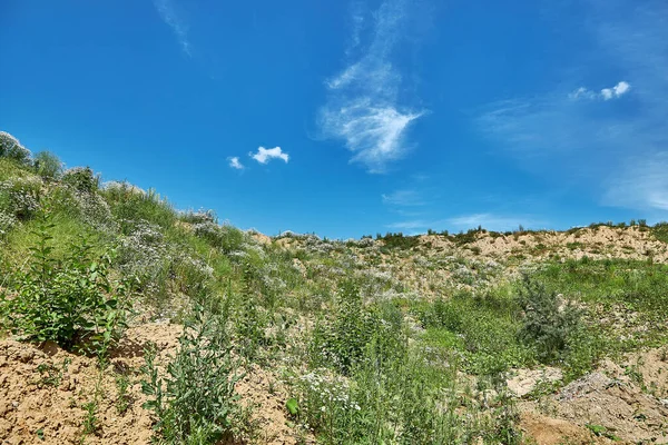 Bulutlu mavi gökyüzünün önündeki seyrek çimenli arazi