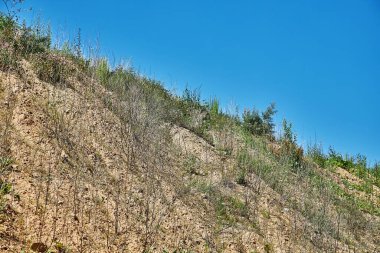 Mavi gökyüzünün önündeki seyrek otlarla ıssız bir arazi.