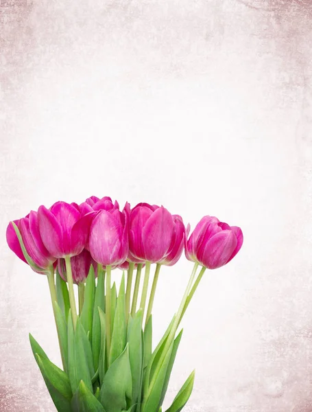 美丽的郁金香花背景 鲜花花束贺卡模板 — 图库照片
