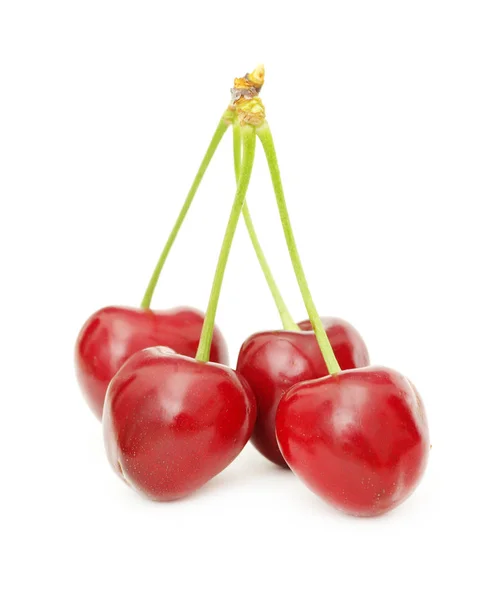 Sweet Cherry Białym Tle — Zdjęcie stockowe