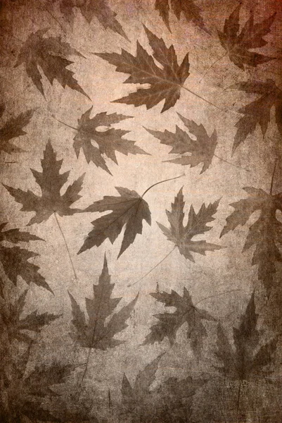 나뭇잎으로 이루어진 추상적 — 스톡 사진