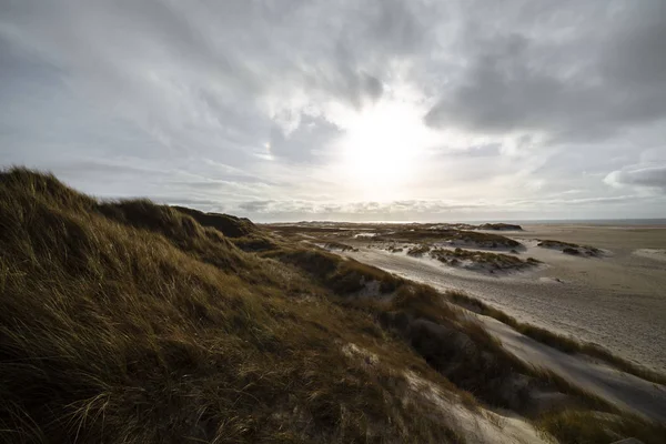 Hardy marram erba sulle dune di sabbia costiere — Foto Stock