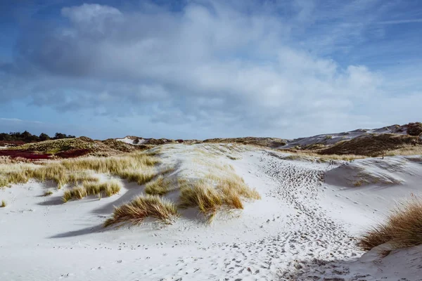 Dune di sabbia ed erba secca sulla riva — Foto Stock