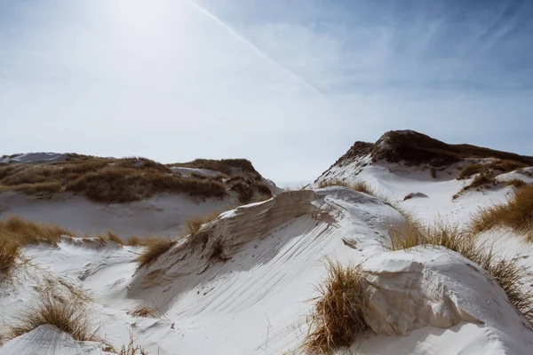 Dune di sabbia ed erba secca sulla riva — Foto Stock