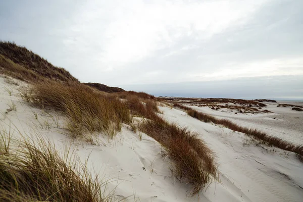 Dune di sabbia sull'isola di Amrum in primavera in una giornata nuvolosa . — Foto Stock