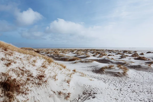 Písečné duny a suchá tráva na břehu — Stock fotografie