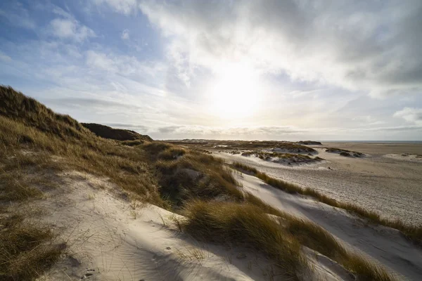Hardy marram erba sulle dune di sabbia costiere — Foto Stock