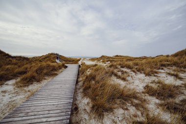 Merdivenli ahşap patika ya da kumulların arasından geçen tahta yol.