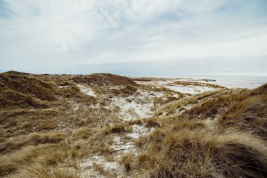 Bulutlu bir günde ilkbaharda Amrum adasında kum tepeleri.