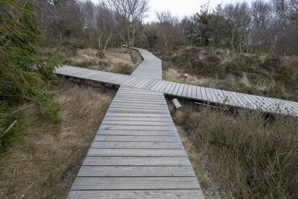 Wooden path with stairs or boardwalk leading through dunes lands