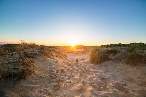 Evening Sun Dunes Amrum Footprints Fine Sand — Stock Photo, Image