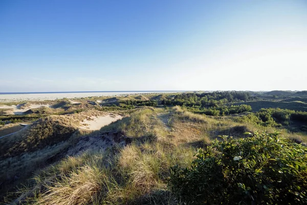 Panoramic Seascape View Green Vegetation Rolling Coastal Sand Dunes Sunny — Stock Photo, Image