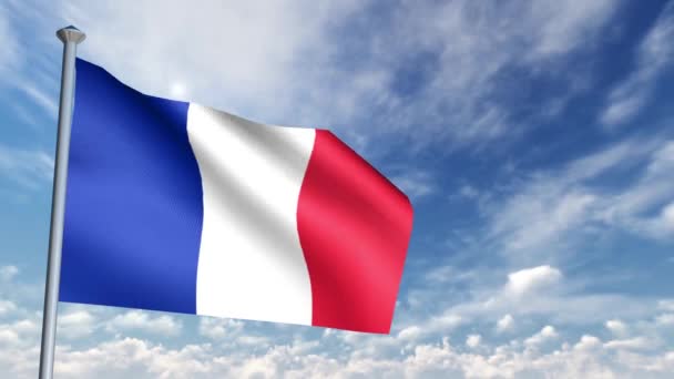 Animatie Van Vlag Van Frankrijk — Stockvideo