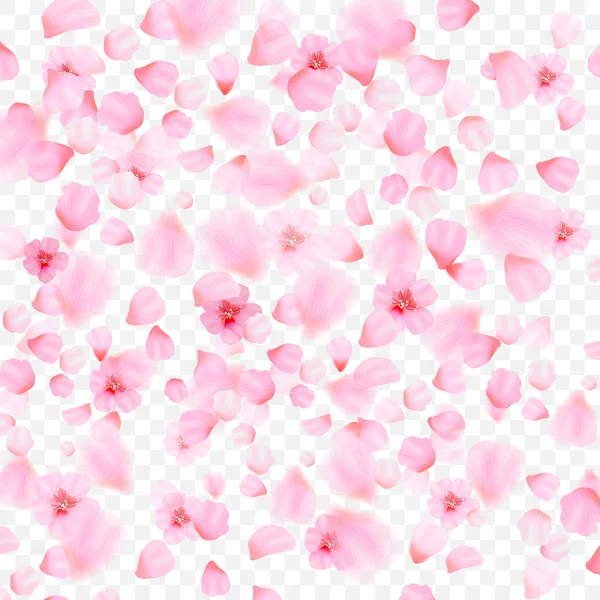 분홍색 꽃잎과 배경에 벚꽃의 떨어지는 — 스톡 벡터