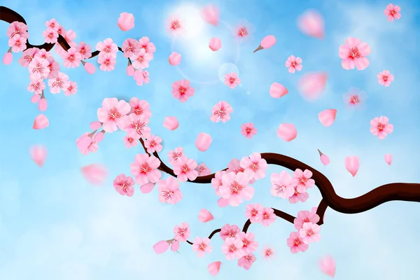 Pink Cherry Blossom Falling Leaves Blue Sky Background Spring Composition — Stock Vector