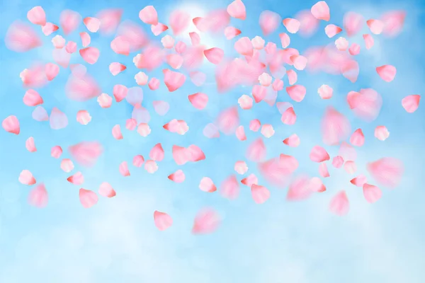 Fleur Cerisier Rose Avec Des Feuilles Tombantes Sur Fond Bleu — Image vectorielle