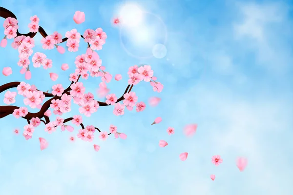 Mořská Hvězda Padající Listy Pozadí Modré Oblohy Jarní Kompozice Sakura Stock Ilustrace