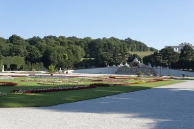 Yaz günü, Viyana'da Schonbrunn Sarayı Bahçeleri