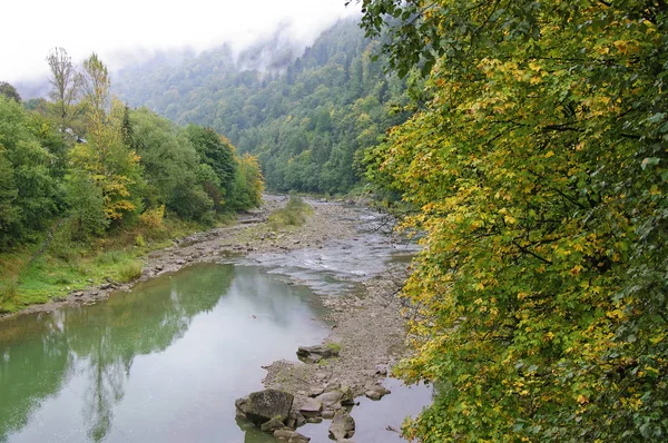 Riva Del Fiume Prut Nei Carpazi Una Nuvolosa Giornata Autunnale — Foto Stock