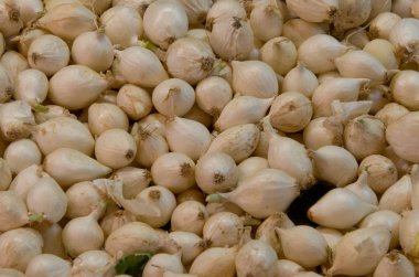 Silverskin asitleme için soğan
