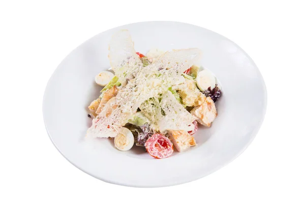 白い皿に野菜 鶏肉のサラダ — ストック写真