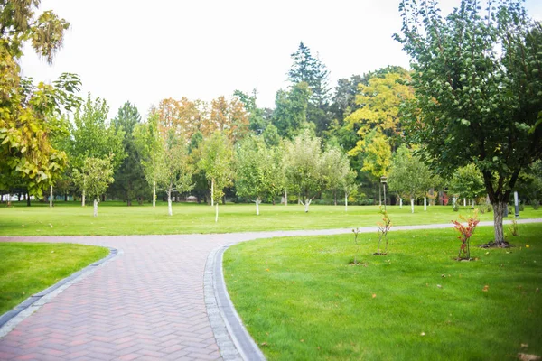 Grön Gräsmatta Och Vacker Vandringsled Stadsparken — Stockfoto