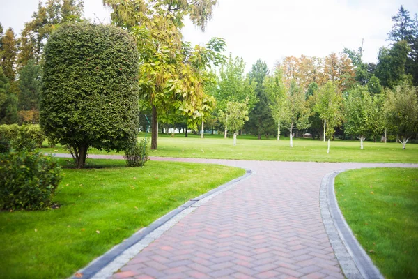 Grüner Rasen Und Schöner Fußweg Stadtpark — Stockfoto