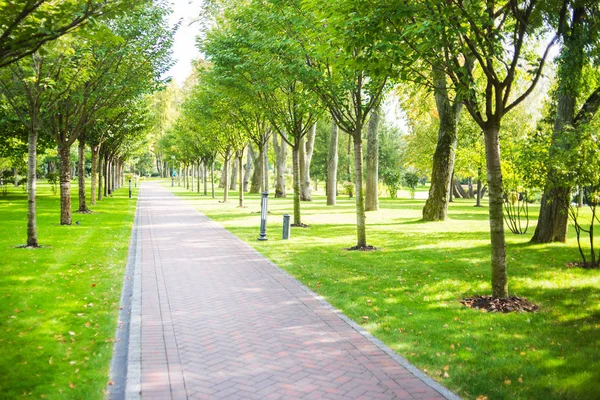 Green Lawn Beautiful Footpath City Park — Stock Photo, Image