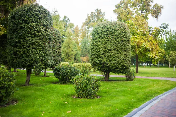 Grön Gräsmatta Och Vacker Vandringsled Stadsparken — Stockfoto