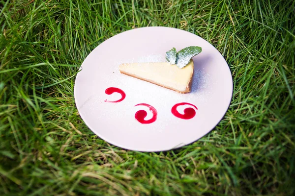 bir cheesecake ile çanak üzerinde taze yeşil nane dışarıda