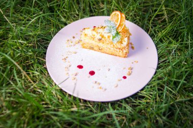 bir pasta tabak taze yeşil nane ile dışarıda