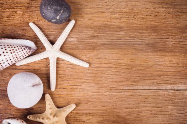 flatlay witn deniz elemanları