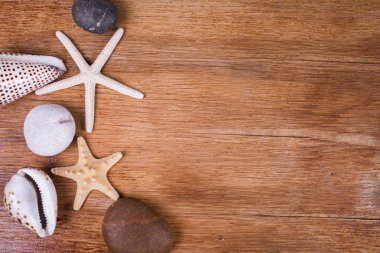 flatlay witn deniz elemanları