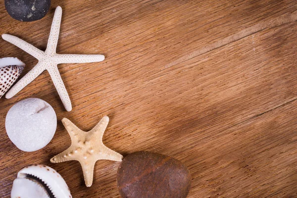 Flatlay witn sea elements — Stock Photo, Image