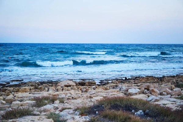 cyprus sea cost