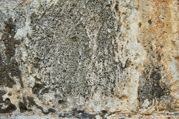 Fal egy ősi kő — Stock Fotó