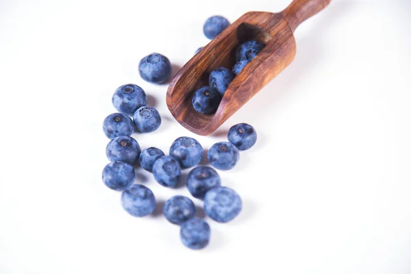 Verse Blueberry in Studio — Stockfoto