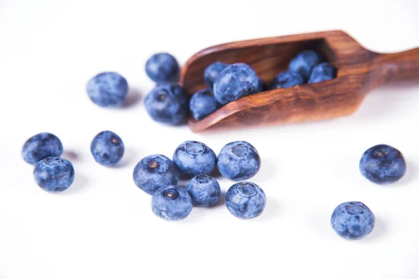 工作室里新鲜的蓝莓 — 图库照片