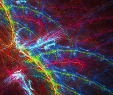 renkli soyut yuvarlak eğrileri ve çizgileri siyah arka plan üzerine