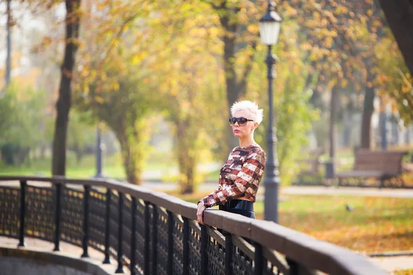 शरद ऋतु पार्क में स्टाइलिश महिला — स्टॉक फ़ोटो, इमेज