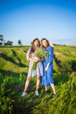 İki genç Avrupalı güzel kız kır çiçekleriyle dolu bir arazide