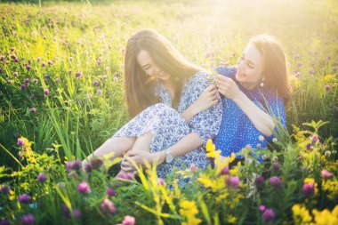 İki genç Avrupalı güzel kız kır çiçekleriyle dolu bir arazide